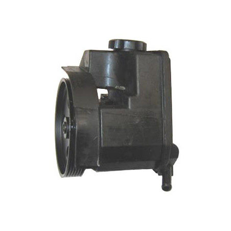 Pompe hydraulique (direction) LIZARTE