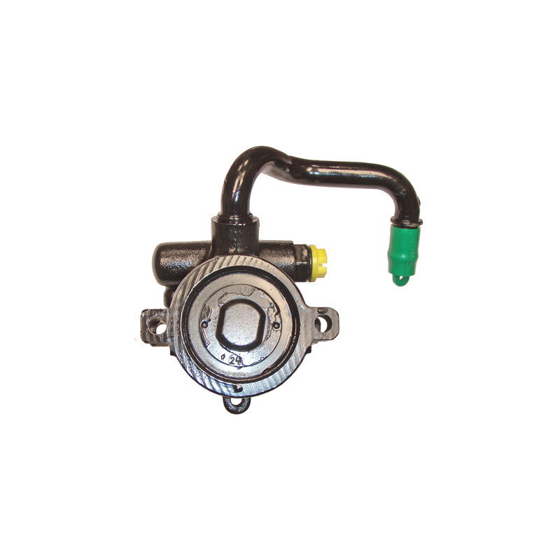 Pompe hydraulique (direction) LIZARTE