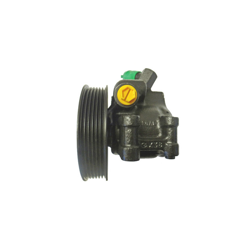 Pompe hydraulique (direction) LIZARTE