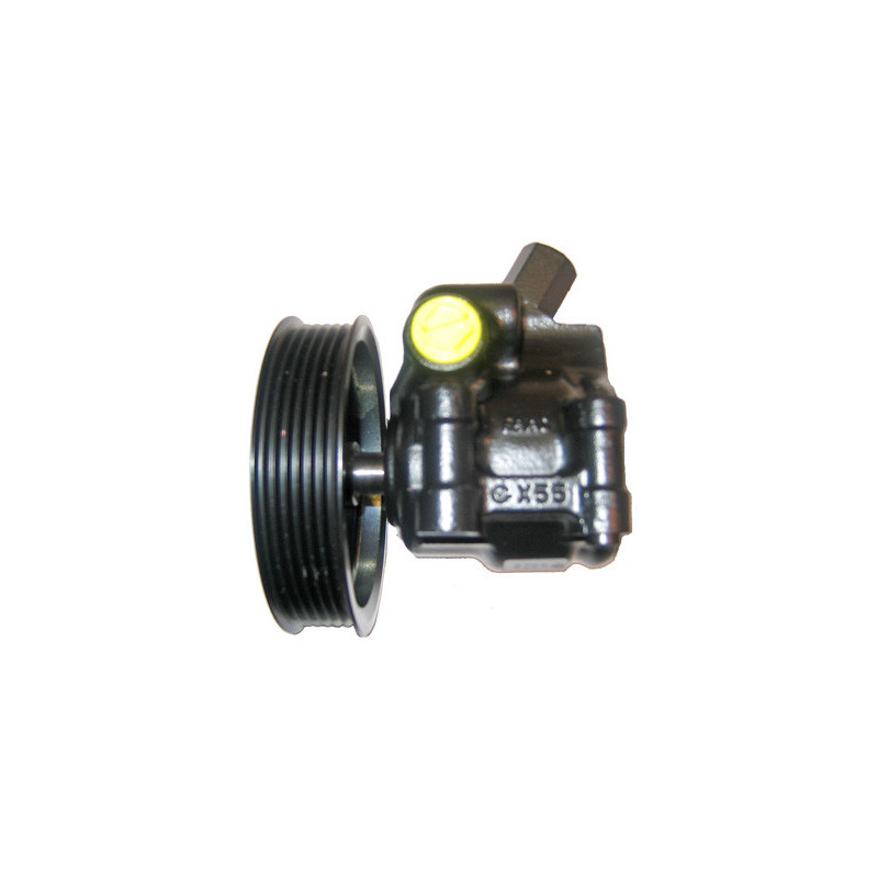 Pompe hydraulique (direction) LIZARTE