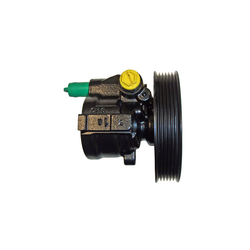 Pompe hydraulique (direction) LIZARTE