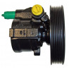 Pompe hydraulique (direction) LIZARTE