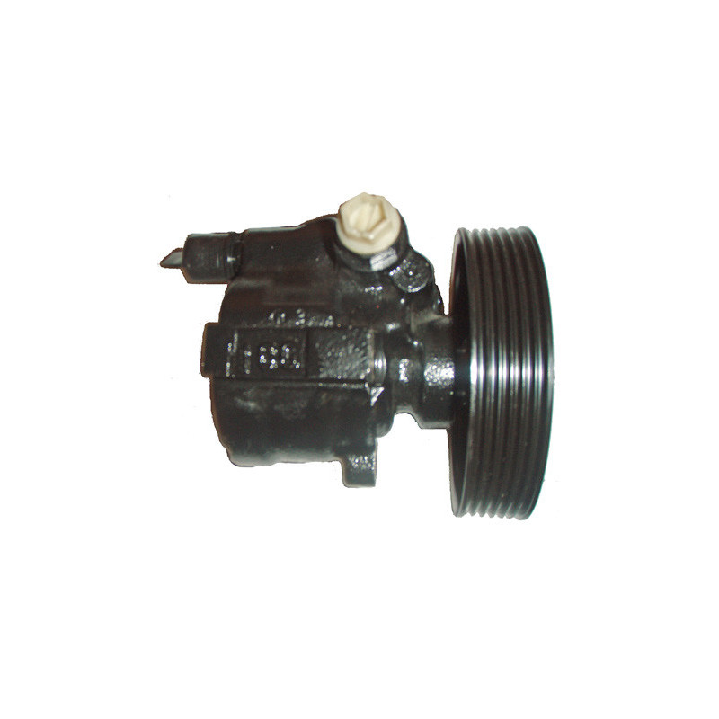 Pompe hydraulique (direction) LIZARTE