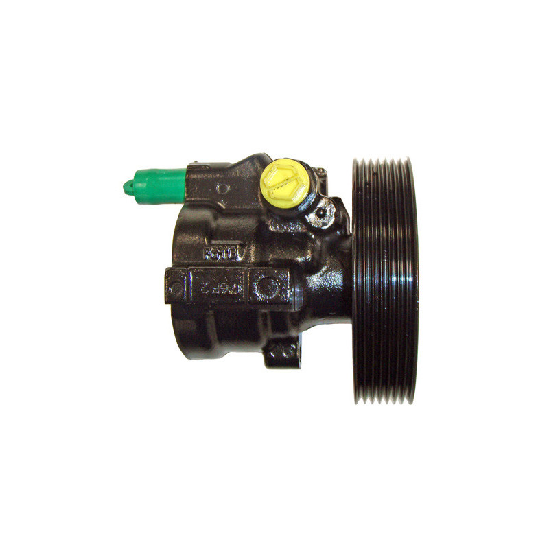 Pompe hydraulique (direction) LIZARTE
