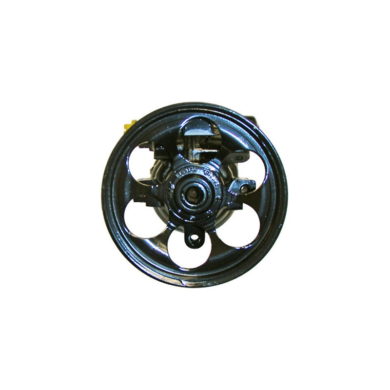 Pompe hydraulique (direction) LIZARTE