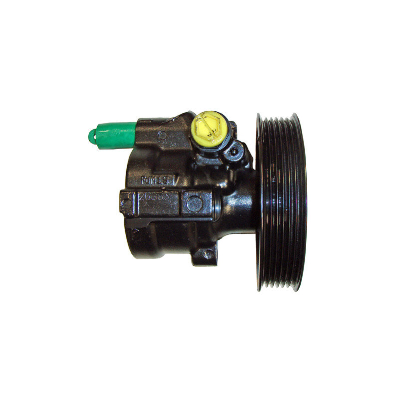 Pompe hydraulique (direction) LIZARTE