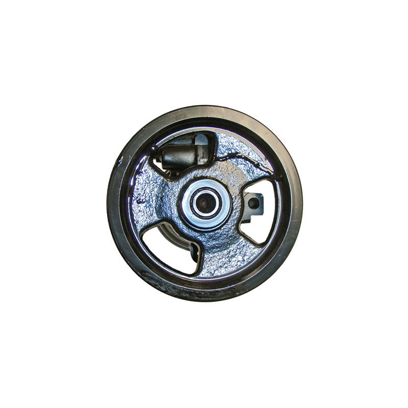 Pompe hydraulique (direction) LIZARTE