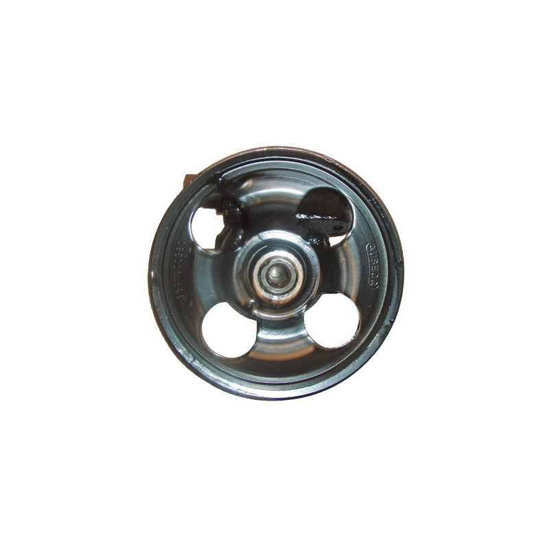 Pompe hydraulique (direction) LIZARTE