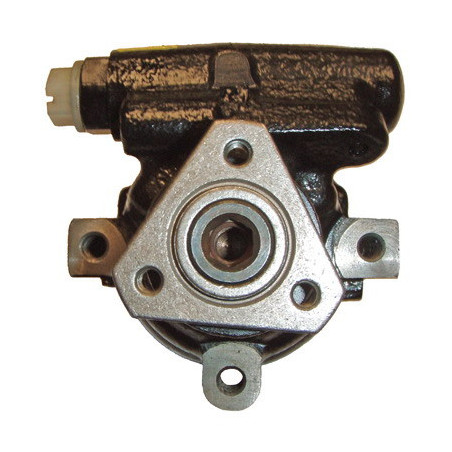 Pompe hydraulique (direction) LIZARTE