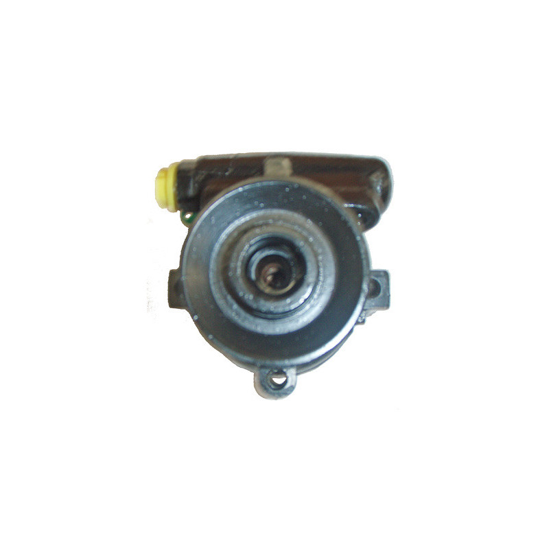 Pompe hydraulique (direction) LIZARTE
