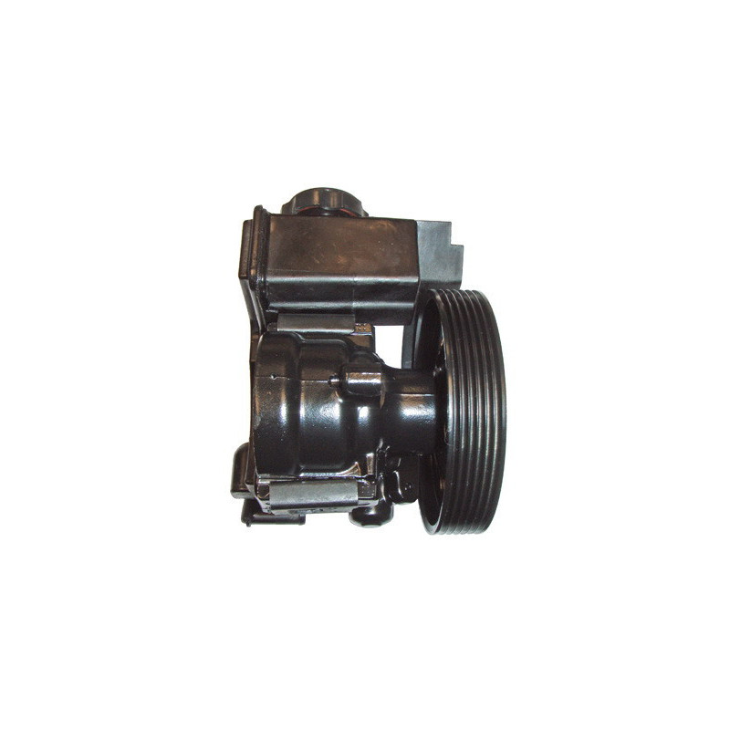 Pompe hydraulique (direction) LIZARTE