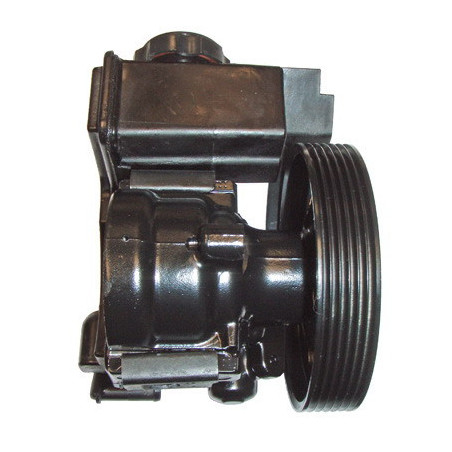 Pompe hydraulique (direction) LIZARTE