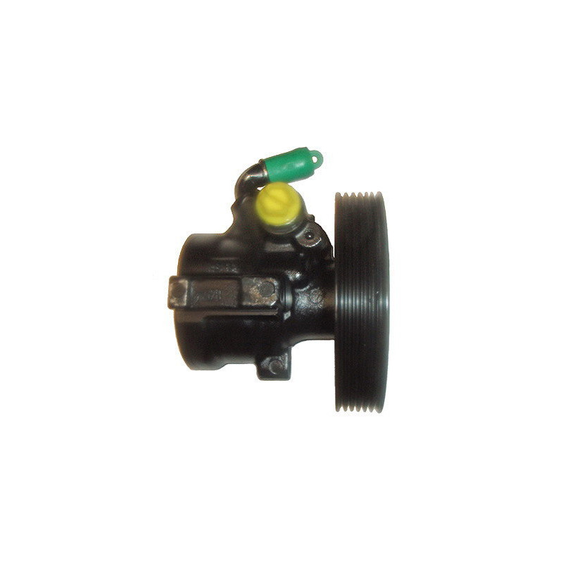 Pompe hydraulique (direction) LIZARTE