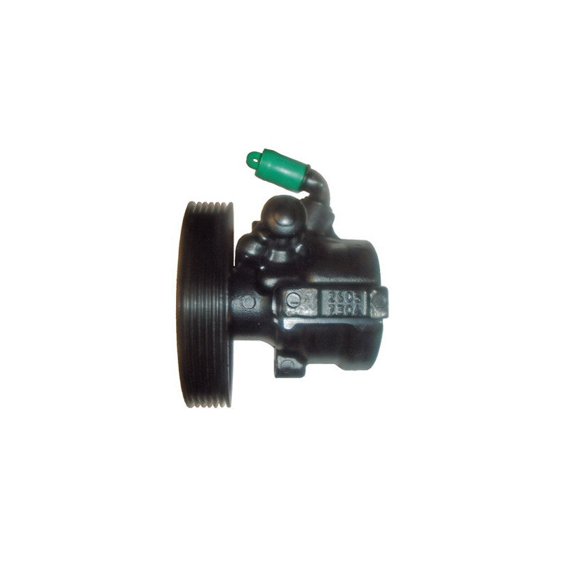 Pompe hydraulique (direction) LIZARTE