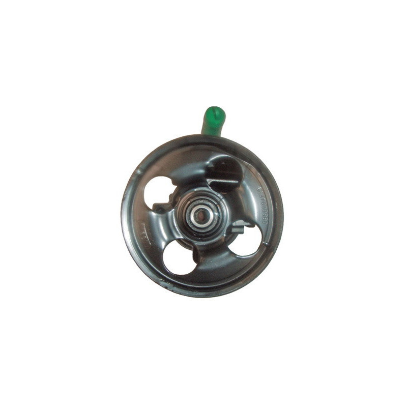 Pompe hydraulique (direction) LIZARTE