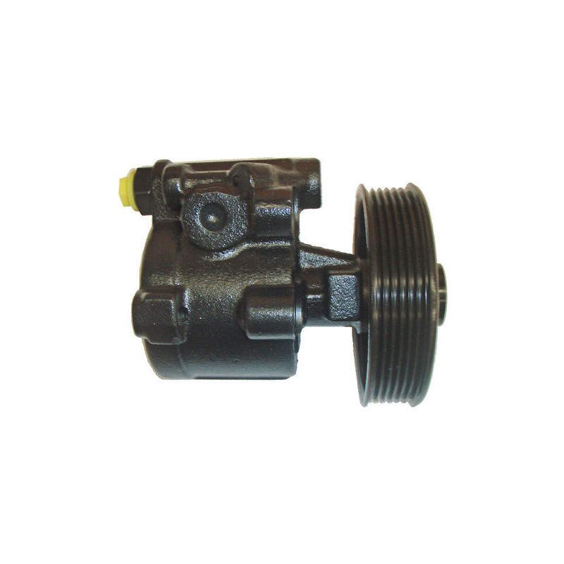 Pompe hydraulique (direction) LIZARTE