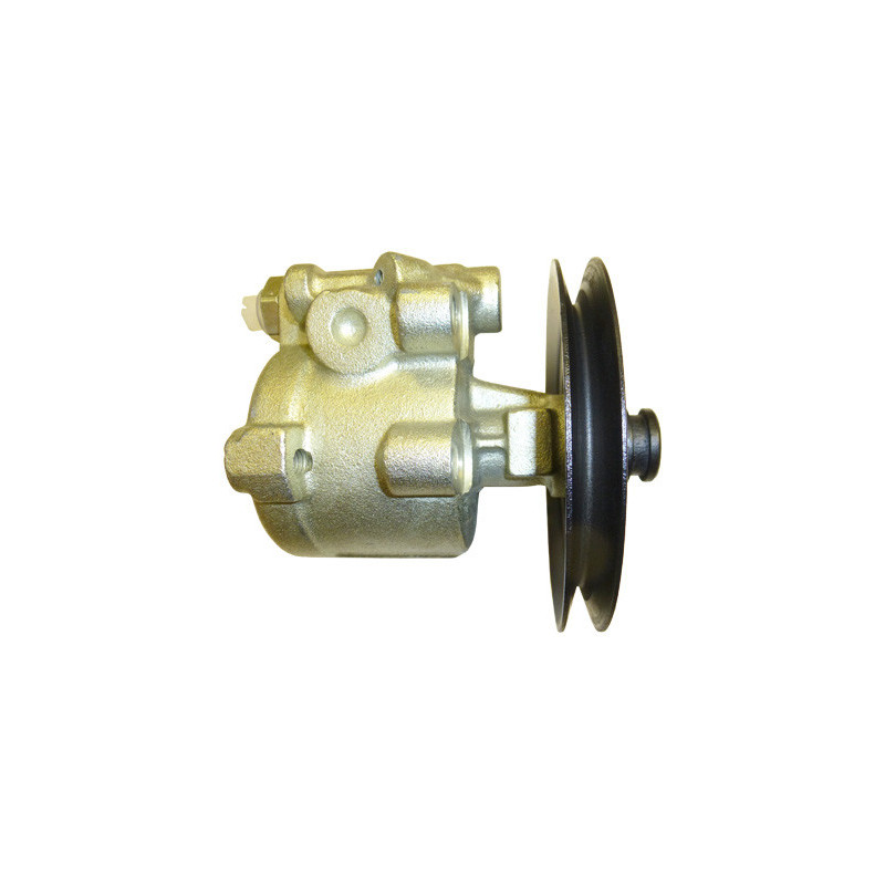 Pompe hydraulique (direction) LIZARTE