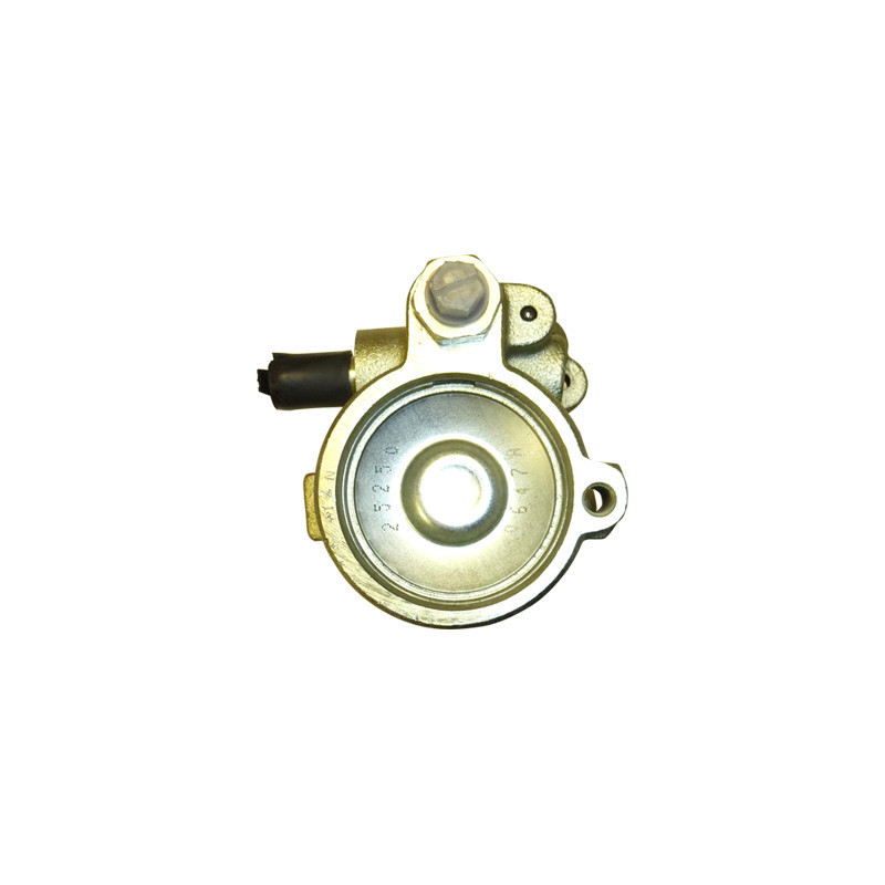 Pompe hydraulique (direction) LIZARTE