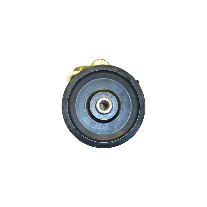 Pompe hydraulique (direction) LIZARTE