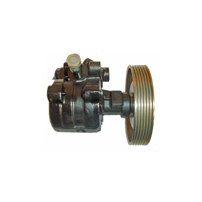 Pompe hydraulique (direction) LIZARTE