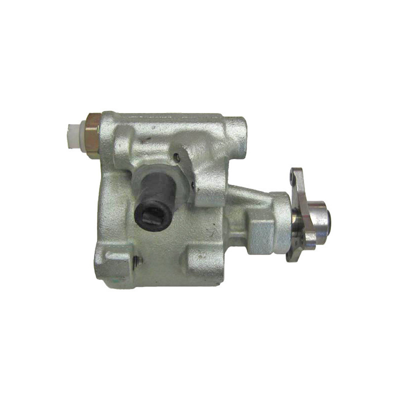 Pompe hydraulique (direction) LIZARTE