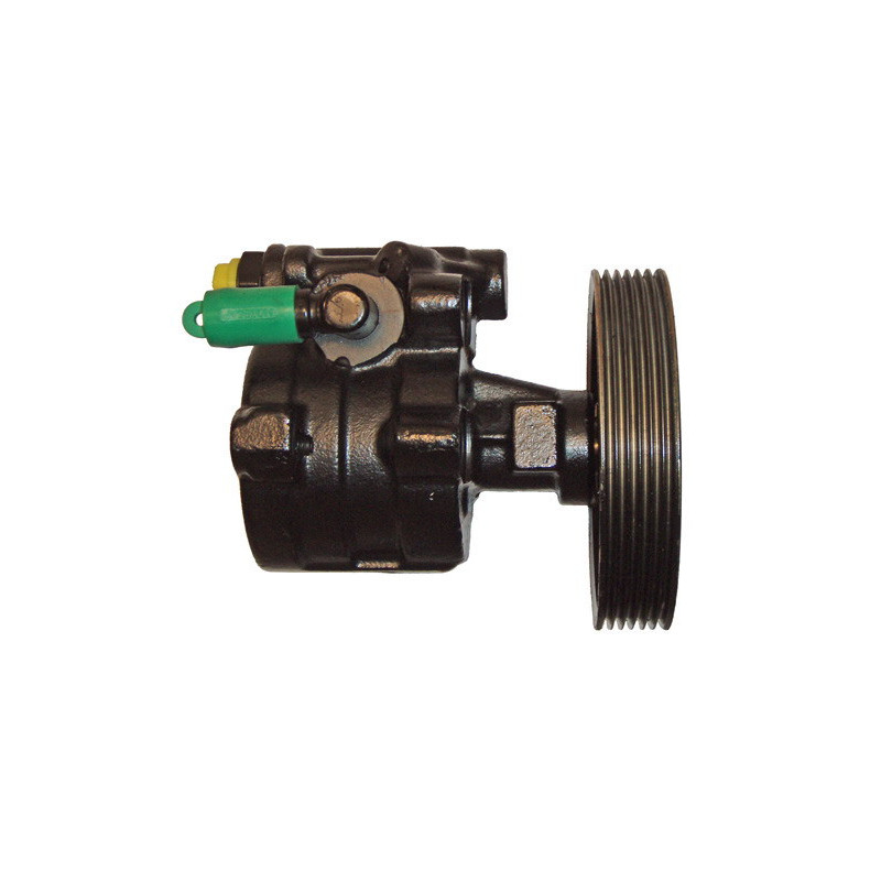 Pompe hydraulique (direction) LIZARTE