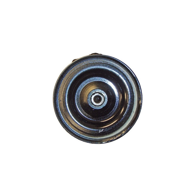 Pompe hydraulique (direction) LIZARTE
