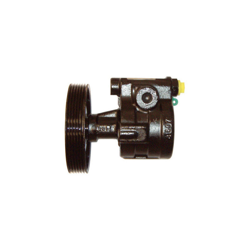 Pompe hydraulique (direction) LIZARTE