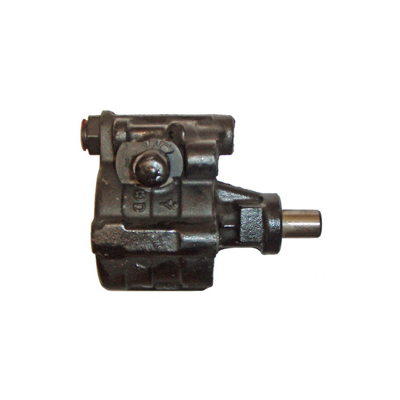 Pompe hydraulique (direction) LIZARTE