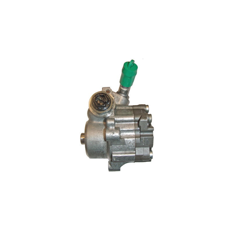 Pompe hydraulique (direction) LIZARTE