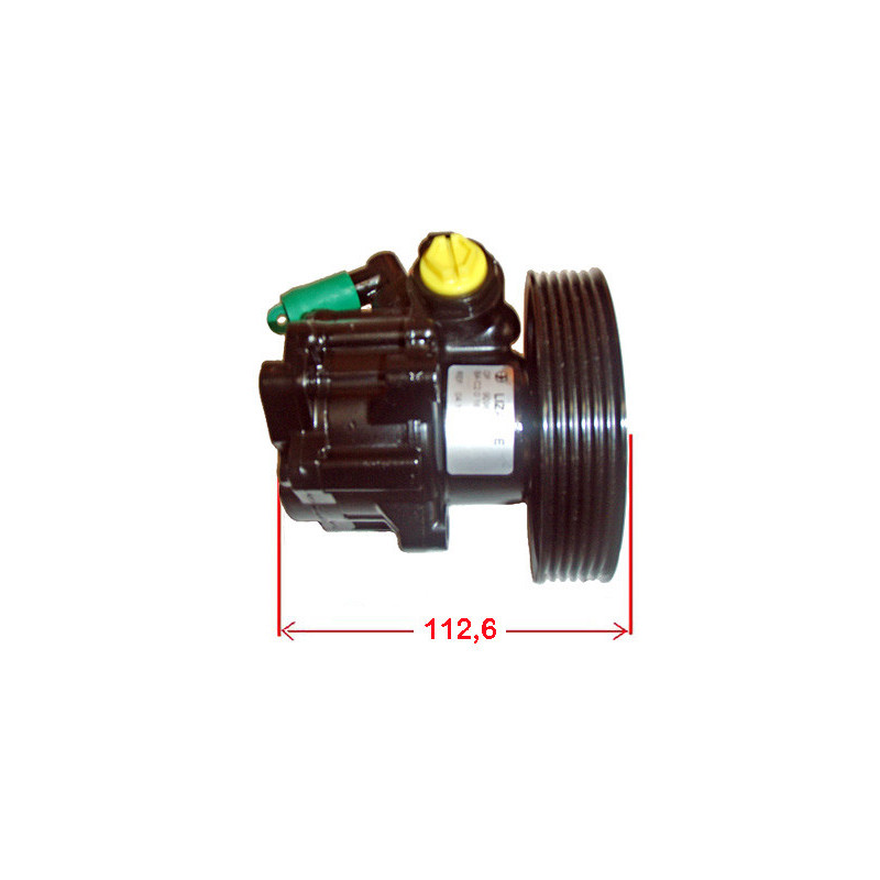 Pompe hydraulique (direction) LIZARTE