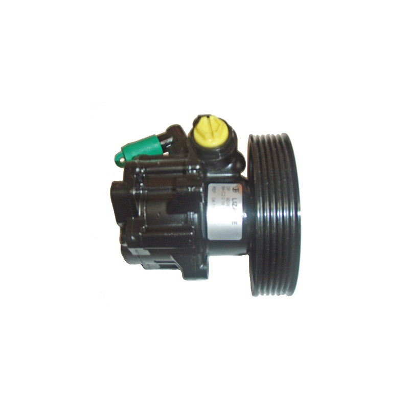 Pompe hydraulique (direction) LIZARTE