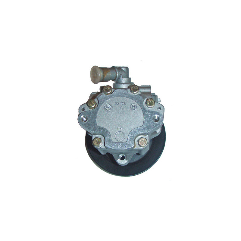 Pompe hydraulique (direction) LIZARTE