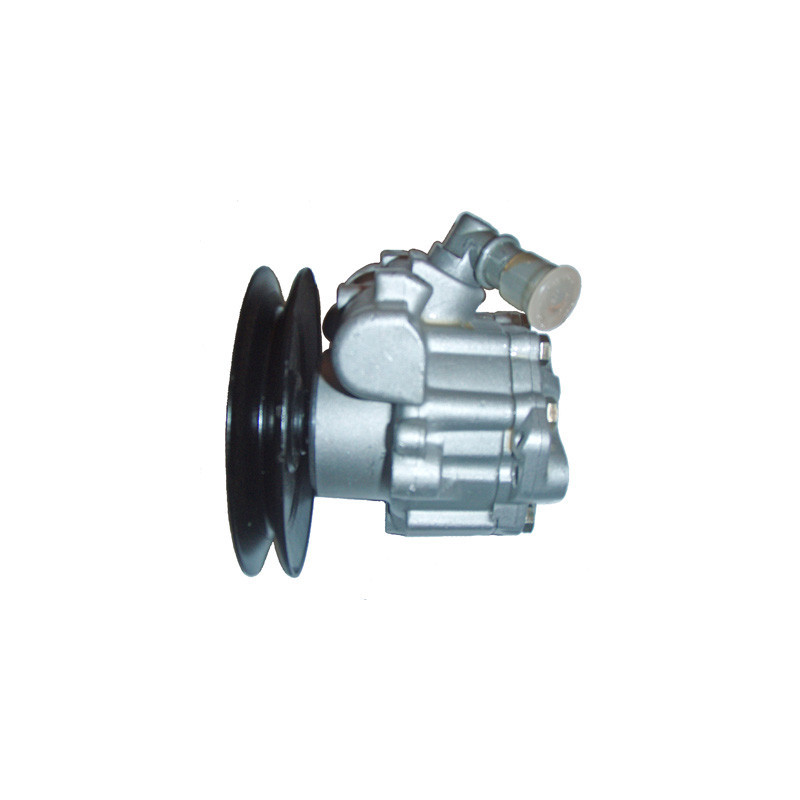 Pompe hydraulique (direction) LIZARTE