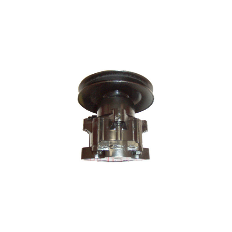 Pompe hydraulique (direction) LIZARTE