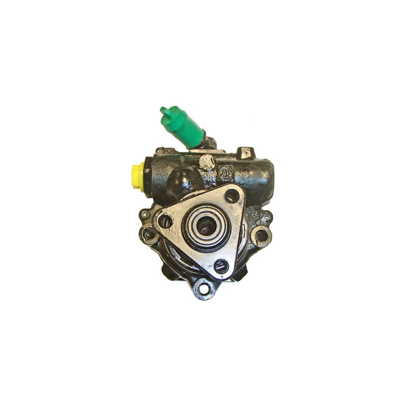 Pompe hydraulique (direction) LIZARTE