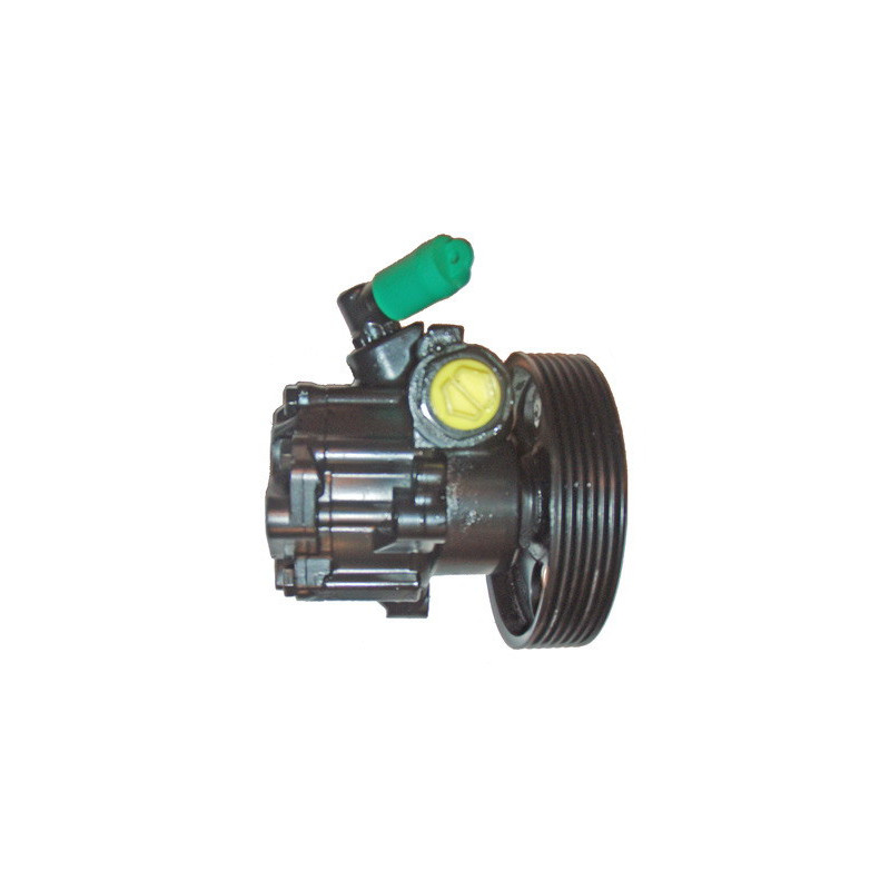 Pompe hydraulique (direction) LIZARTE