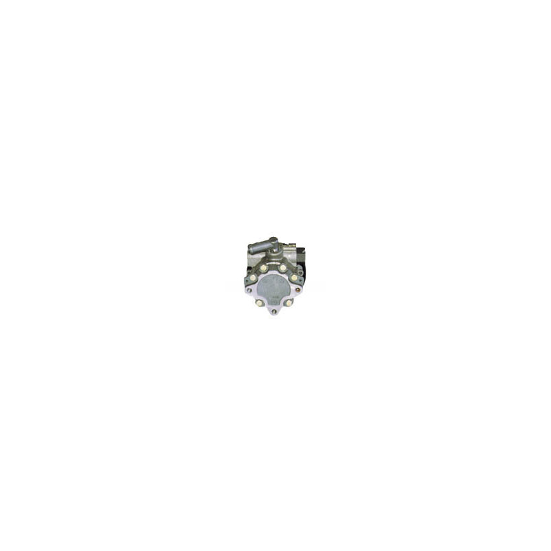 Pompe hydraulique (direction) LIZARTE