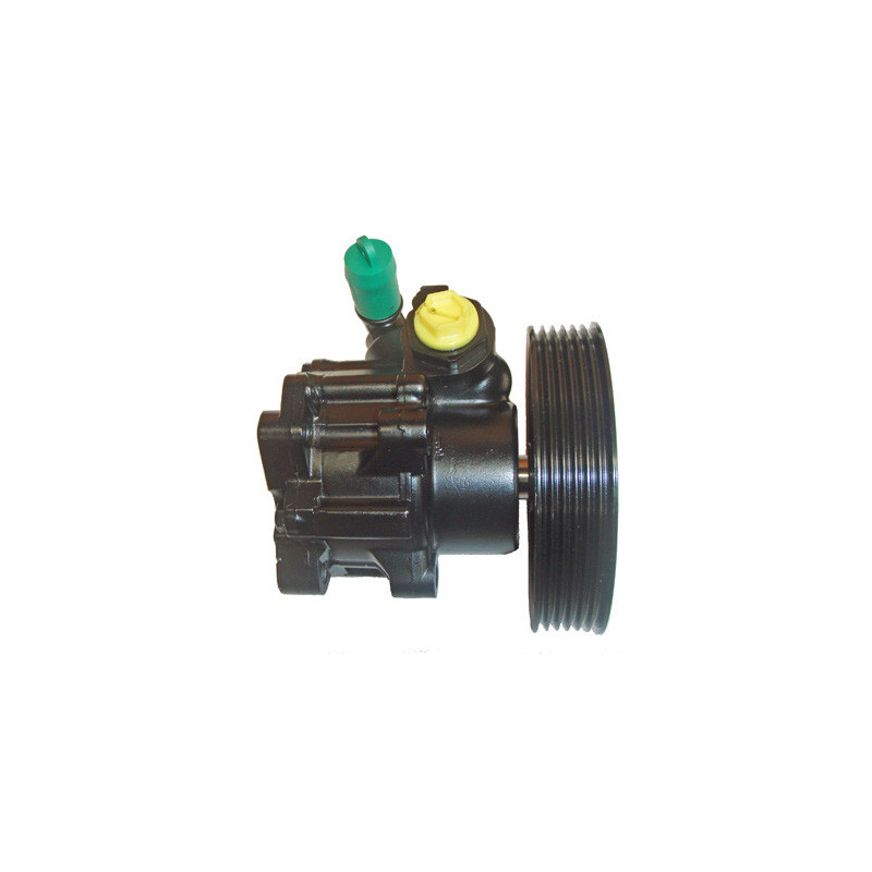 Pompe hydraulique (direction) LIZARTE