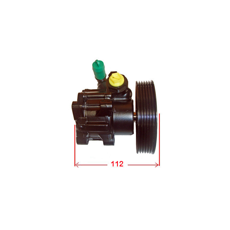 Pompe hydraulique (direction) LIZARTE