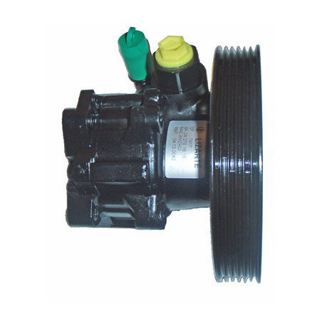 Pompe hydraulique (direction) LIZARTE