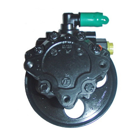 Pompe hydraulique (direction) LIZARTE