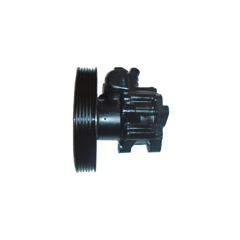 Pompe hydraulique (direction) LIZARTE