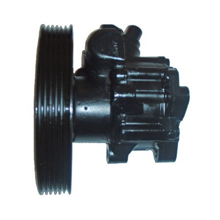 Pompe hydraulique (direction) LIZARTE