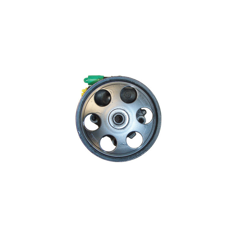 Pompe hydraulique (direction) LIZARTE