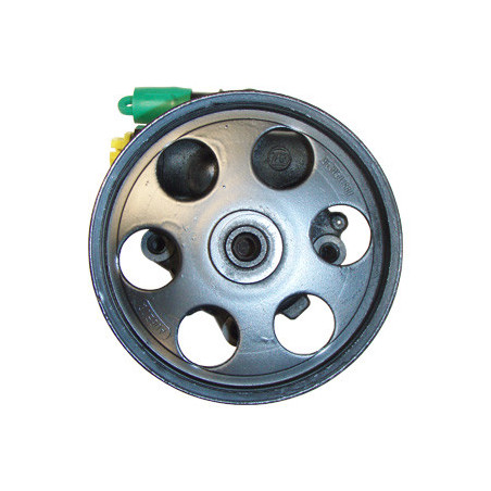 Pompe hydraulique (direction) LIZARTE