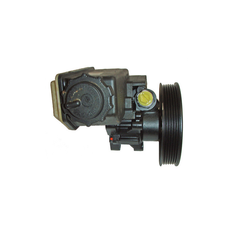 Pompe hydraulique (direction) LIZARTE