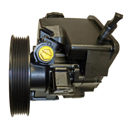 Pompe hydraulique (direction) LIZARTE