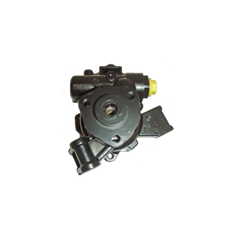 Pompe hydraulique (direction) LIZARTE