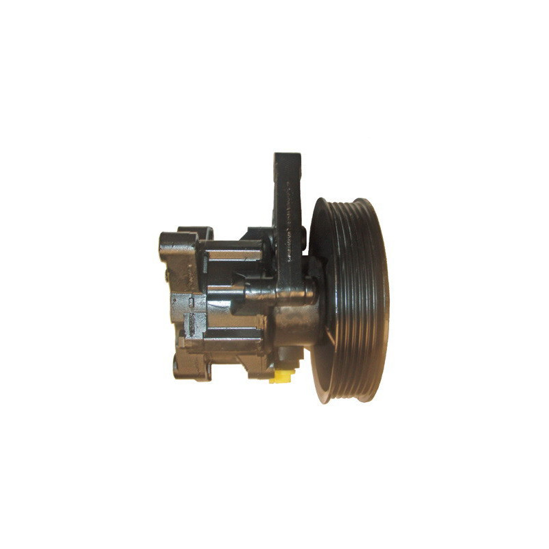 Pompe hydraulique (direction) LIZARTE